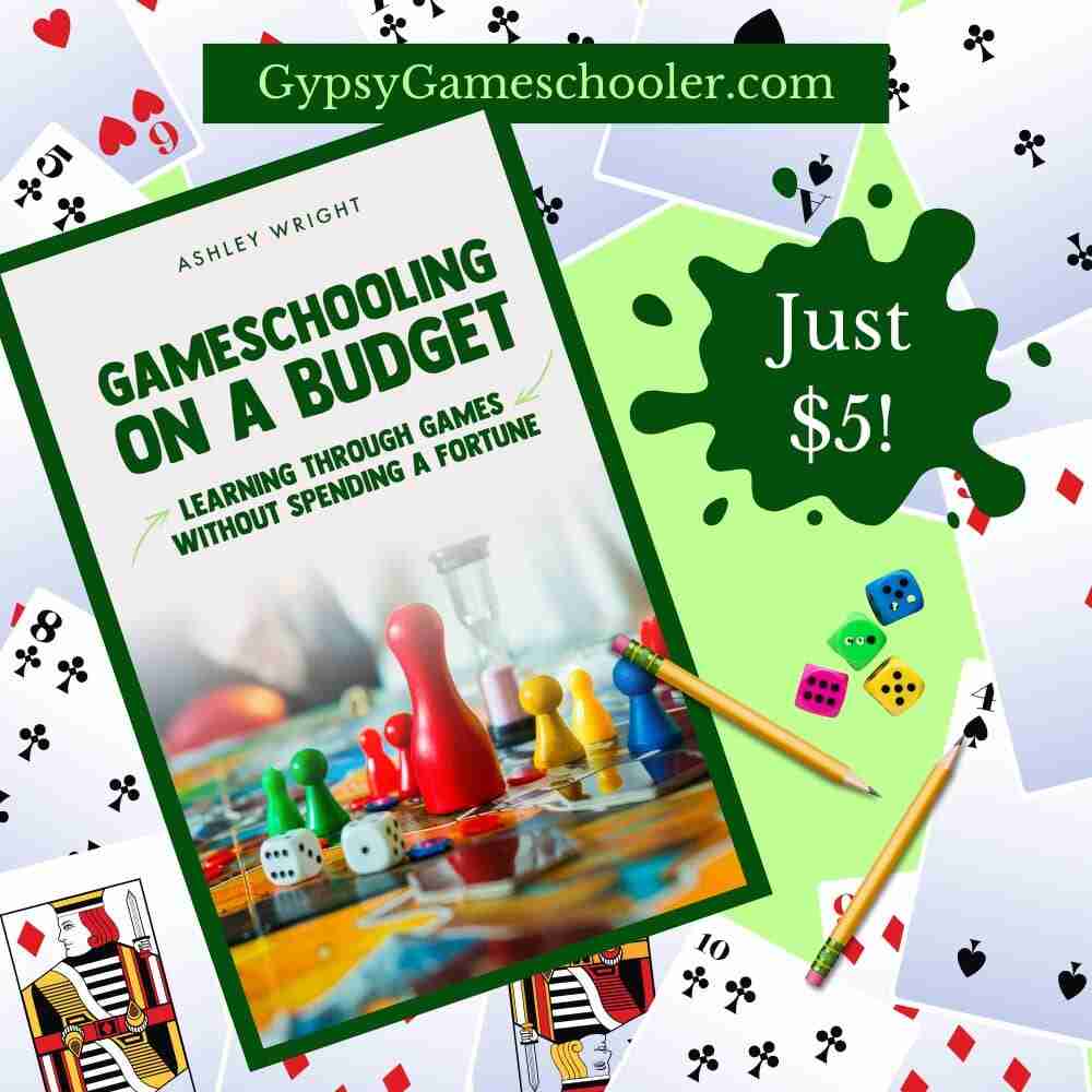 Gameschooling Book
